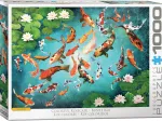 Carpes Koi Colorées
