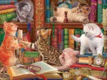 Chatons de Bibliothéque