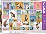 Yoga Cats