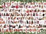 Chiens de Noël