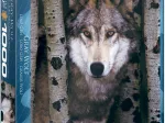 Loup Gris