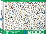 Le Monde des Oiseaux, par David Sibley