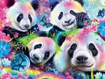 Pandas Fluo