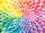 Fleur Aux Couleurs Vives