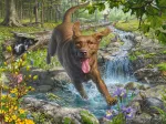 Mark Fredrickson - Retriever au Printemps