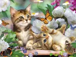 Chatons Espiègles