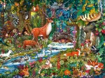 Animaux de la Foret