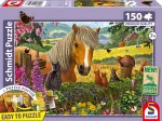 Mignons Visiteurs dans la Prairie