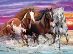 Trio de Chevaux Sauvages