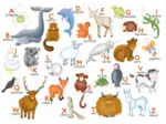 Puzzle en Bois Découpé à la Main - Hannah Weeks : L'Alphabet Des Animaux