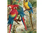 Puzzle en Bois Découpé à la Main - Perroquets De Brehm