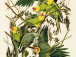 Puzzle en Bois Découpé à la Main - Audubon - Les Perruches