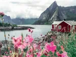 Lofoten - Norvège
