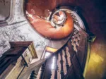 Lost Places - Oak Spiral