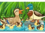 9 Puzzles - Tierfamilien auf dem Bauernhof