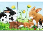 9 Puzzles - Tierfamilien auf dem Bauernhof