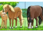9 Puzzles - Tierfamilien auf dem Bauernhof