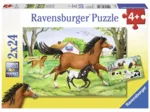 2 Puzzles - Le Monde du Cheval