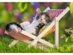 2 Puzzles - Sieste des Chatons