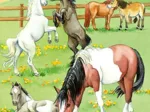 3 Puzzles - Un Jour au Centre Equestre