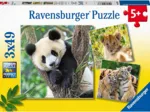 3 Puzzles - Panda, Tigre et Lion