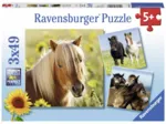 3 Puzzles - Chevaux