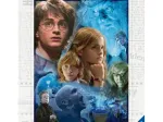 Harry Potter à Poudlard (TM)