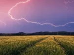 Nature Edition - Orage d'été