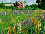 Ferme en Suède (Puzzle Highlight, Scandinavian)