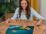 Lumières du Nord, Tromsø, Norvège (Puzzle Highlight, Scandinavian)