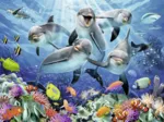Dauphins dans la Barrière de Corail