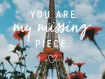Puzzle Moment - You are my Missing Piece
