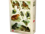 Grenouilles