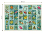 Collage Monde Aquatique