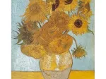 Van Gogh Vincent - Les Tournesols