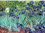 Van Gogh Vincent - Iris