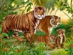 Animaux Sauvages - Tigres