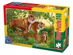 Animaux Sauvages - Tigres