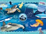 Ocean Explorer - Supercolor Puzzle