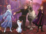La Reine Des Neiges