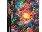 Colorboom - Jungle Psychédélique - Boite Compacte