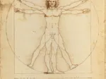 Léonard De Vinci : L'Homme de Vitruve