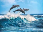 Dauphins