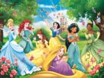 Pièces XXL - Disney Princess