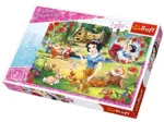 Blanche Neige et les 7 Nains