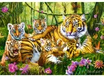 Famille de Tigres