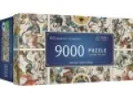 Anciennes Cartes Célestes