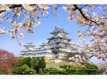 Puzzle en Plastique - Himeji-jo Castle in Spring Cherry Blossoms