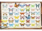 Puzzle en Plastique - Beautiful Butterflies