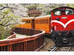 Plastic Puzzle - Forest Train in Alishan National Park